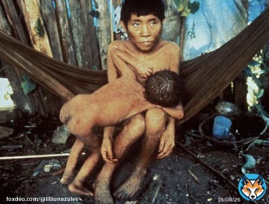 Since 2019, the Bolsonaro government has 21 times refused humanitarian aid to the Yanomami indigenous people, where illegal miners have invaded their lands, since then, Bolsonaro is his vice president, they have promised help to the indigenous peoplewho suffered from COVID-19