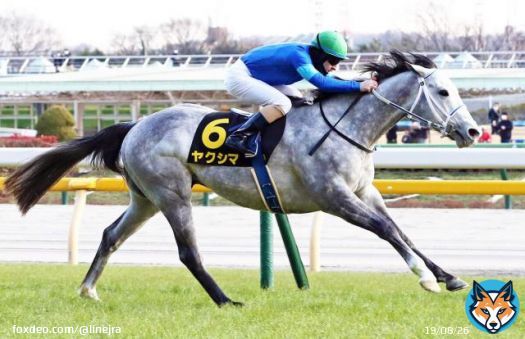 1月28日のクロッカスS(3歳上オープン・リステッド、芝1400メートル＝10頭立て)は、3番人気のヤクシマ(牡、栗東・寺島良厩舎、父ハヴァナグレイ)が、直線で抜け出してオープン初勝利を飾った。勝ち時計は1分21秒1(良)。  &hellip;