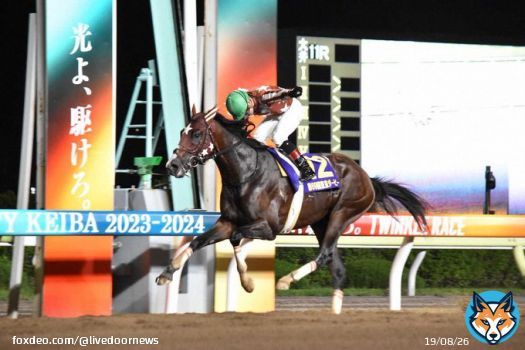 【ジャパンダートダービー】ミックファイアが3歳ダート王に！22年ぶり無敗3冠   地元・大井のミックファイアが制し、無傷の6連勝で3歳ダート王のタイトルを獲得。また、01年トーシンブリザード以来となる無敗での南関クラシック3冠も成し遂げた。