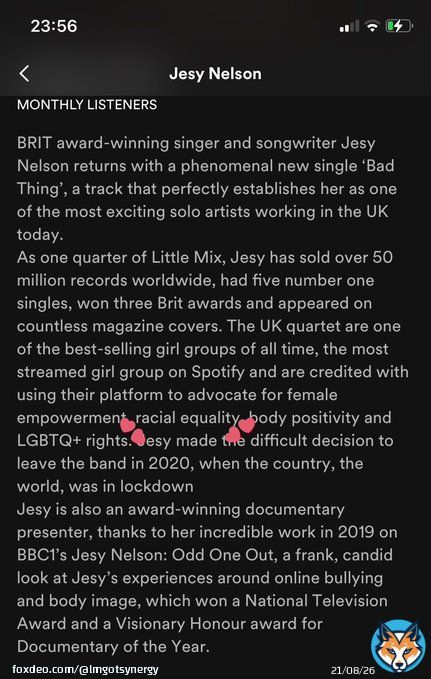 generally, I don&rsquo;t like tweeting about jesy but why is her spotify description mostly about LM, and then goes on to mental little mix&rsquo;s work on racial equality OF ALL THINGS??