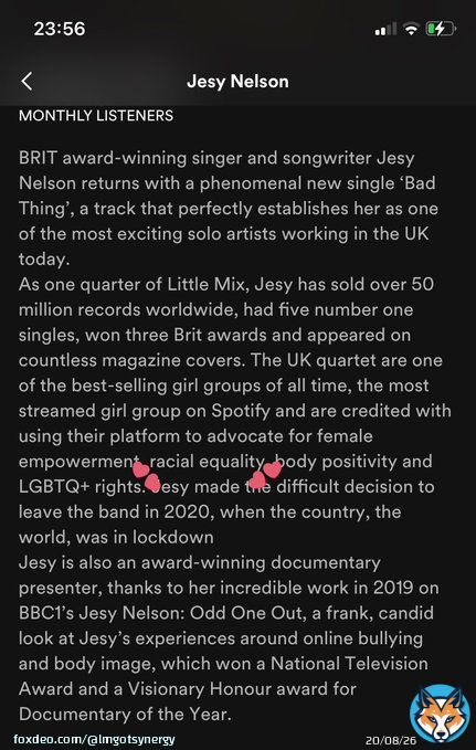 generally, I don&rsquo;t like tweeting about jesy but why is her spotify description mostly about LM, and then goes on to mental little mix&rsquo;s work on racial equality OF ALL THINGS??