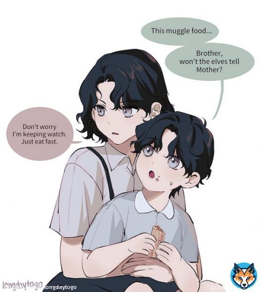 sirius definitely used to sneak stuff into the house hc #harrypotter #siriusblack #regulusblack