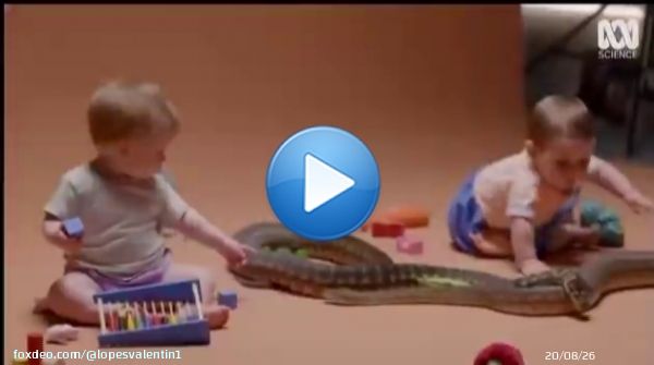 Tout comme on ne naît pas raciste, homophobe, etc... C'est un problème d'éducation, conditionnement et vécu mais vous n'êtes pas prêts pour cette discussion.QuoteScience girl@sciencegirl·Jan 30Scientists proved that human babies aren’t born afraid ofof snakes.