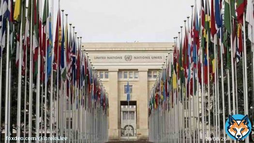Pls help ACTUAL SWs & survivors SPEAK FOR OURSELVES at the UN H.R.C 5th periodic review of US fulfillment of their duties under the Intl. Covenant on Civil and Political Rights! We will teach them: resource distribution & decrim ARE trafficking prevention!