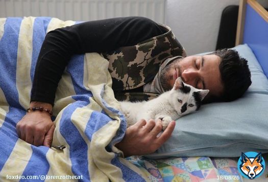 The mom lady is making me post this. Our favorite Turkish earthquake rescue worker with his new best friend.