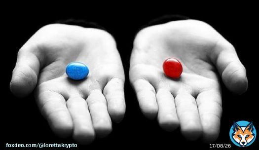 What pill are you taking?    Bitcoin to $100k this year    Your memecoin would do a solid 10,000X in profits