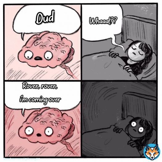 Noooooooooo sleep  ROVER IS COMING ⁦#ROVER_MoodSampler1⁩  ⁦#KAI_Rover⁩ #KAI @weareoneEXO