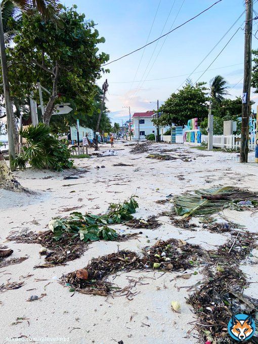 #Belize: The sun is out and so are our teams across the country to survey the damage left behind by #HurricaneLisa. These photos were sent to us from Caye Caulker.