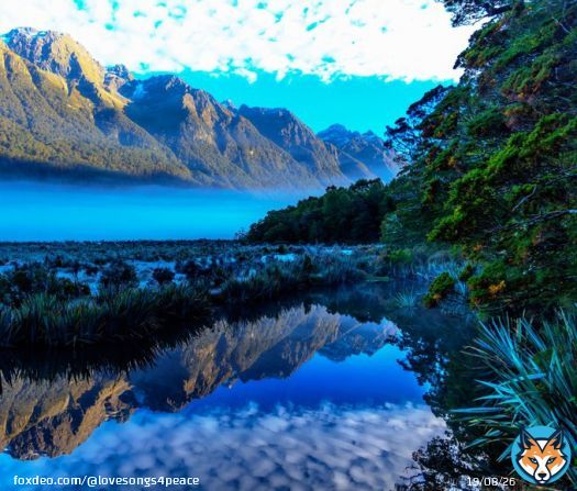 Blue mist at Lake Matheson in New Zealand