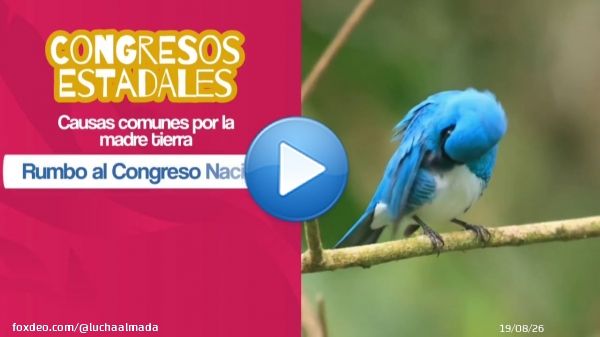 ¡El futuro es ecosocialista! Iniciamos las Asambleas Estadales Preparatorias. Más que una reunión, es el espacio donde el pueblo construye la defensa de nuestra Pachamama. ¡Súmate al Gran Congreso Nacional!