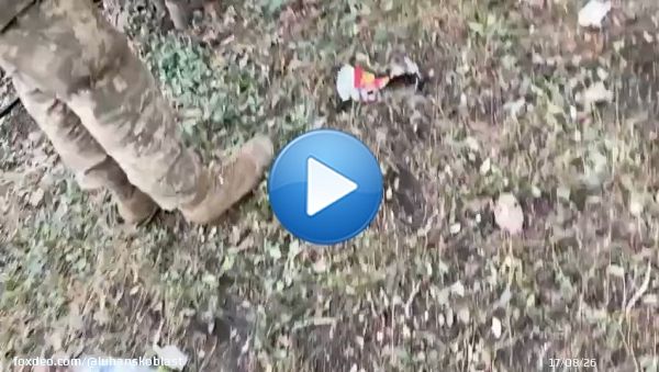 #Донбасс ... мальчики в трусиках ...