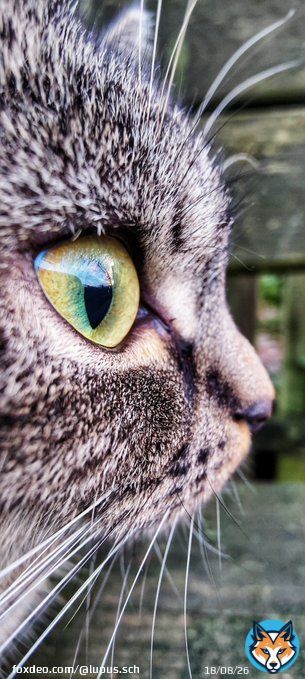 It's amazing to see the technical progress in  #smartphonephotography #shotononeplus #oneplus
