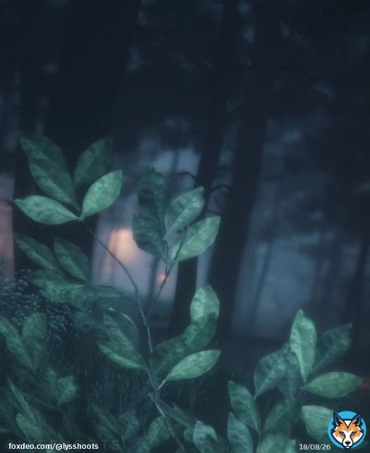 &ldquo;Nature does not hurry, yet everything is accomplished.&rdquo;-Lao Tzu  #APlagueTaleInnocence #VirtualPhotography #VGPUnite #VPGamers #ArtisticofSociety #GamerGram
