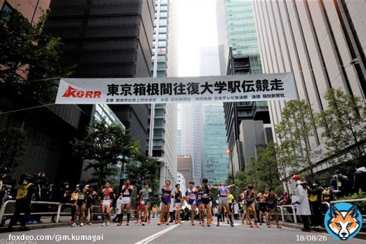 楽しみだ。   箱根駅伝2023区間エントリーがいよいよ、今日発表！各校のエースはどこに入る!? ｜月陸Online