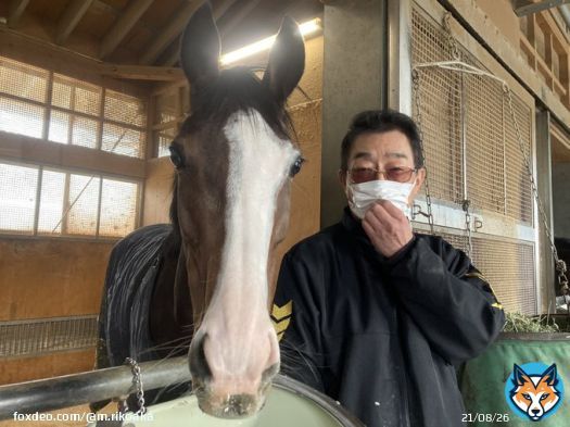 #メロディーレーン ちゃんと ちょっと照れておられる森田調教師  #ステイヤーズステークス