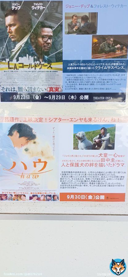 #シェーグレン症候群 今日通院 向かってるけど、検査結果はいかに 特に貧血の数字が気になる (⑉&bull;̆ &middot;̭ &bull;⑉)ﾓｰ!!いやってほどしてるからそろそろ終わりたい どんだけ貧血重たかったねんって話だろうな 無事にバスに乗り２０分という小旅行を楽しみつつ頑張る(ง &bull;̀_&bull;́)ง オマケ、ハウ見たい
