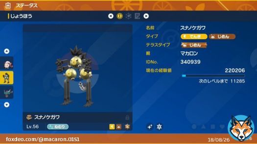 毎日色違いパラドックス配布1日目！ 水曜日の最初に飾るのはスナノケガワ  参加方法 \u2460フォロー(@macaron_0151 ) \u2461このツイートをRT  締切本日23時59分まで！  #ポケモンSV #ポケモン配布  #ポケモン交換