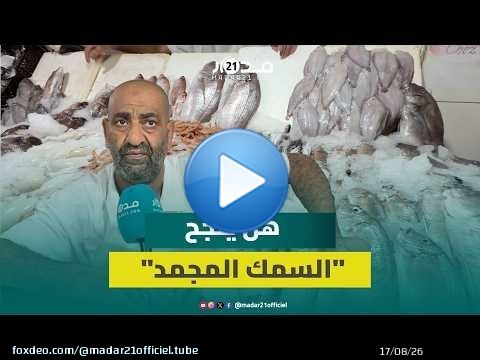 هل ينجح «السمك المجمد» في ترميم قطاع الصيد البحري بعهد الدرويش؟
