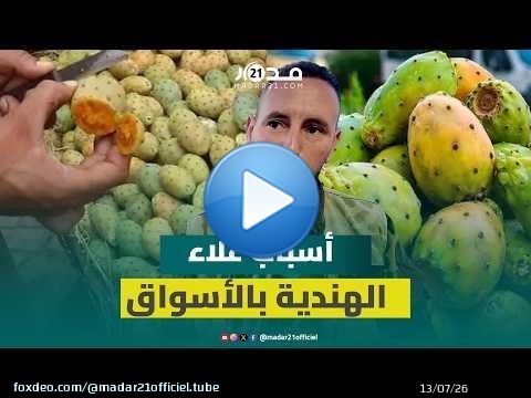 تصل أسعار إلى 6 دراهم للحبة الواحدة.. تاجر بالتقسيط يكشف أسباب غلاء الهندية