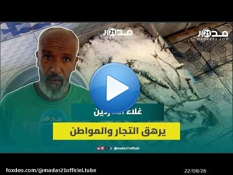 25 درهم للكيلو.. تجار السردين يوضحون أسباب غلاءه ويحملون الدرويش المسؤولية