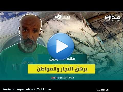 25 درهم للكيلو.. تجار السردين يوضحون أسباب غلاءه ويحملون الدرويش المسؤولية