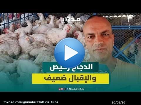 رغم انخفاض أسعار الدجاج.. الركود يسيطر على الأسواق والمهنيون يتحدثون عن الأزمة