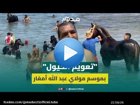 “تعويم الخيل”.. طقس تراثي يُنعش أجساد الخيول قبل انطلاق موسم مولاي عبد الله أمغار