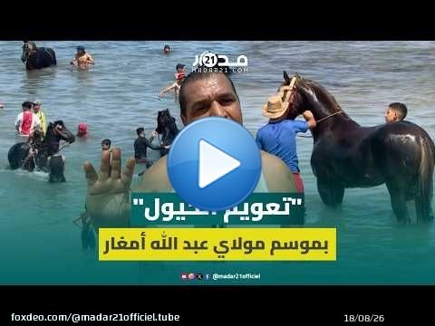 “تعويم الخيل”.. طقس تراثي يُنعش أجساد الخيول قبل انطلاق موسم مولاي عبد الله أمغار