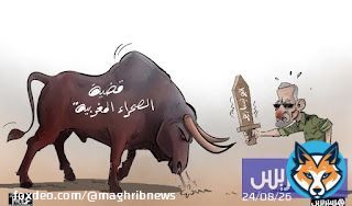 المغرب والصحراء الشرقية .. خطاب جبهة البوليساريو يفضح الافتراءات الجزائرية