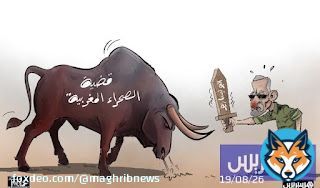المغرب والصحراء الشرقية .. خطاب جبهة البوليساريو يفضح الافتراءات الجزائرية