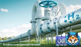 المغرب يوظف الهيدروجين الأخضر في الأمن الطاقي وجذب الاستثمارات
