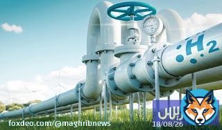 المغرب يوظف الهيدروجين الأخضر في الأمن الطاقي وجذب الاستثمارات
