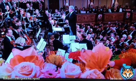 S&eacute; que solo es por una vez al a&ntilde;o y que cuando toquen la Marcha Radetzky  terminar&aacute; el hechizo,  pero qu&eacute; DELICIA ver un concierto de m&uacute;sica cl&aacute;sica en @La1_tve  #conciertoa&ntilde;onuevo #conciertodea&ntilde;onuevo