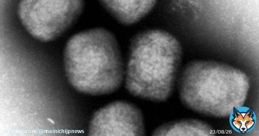 大阪と徳島在住でサル痘の感染確認、関東以外で初 海外渡航歴なし