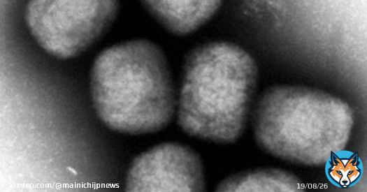 大阪と徳島在住でサル痘の感染確認、関東以外で初 海外渡航歴なし