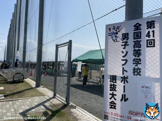 旅の疲れからか 不調続き やっとお天気と同時に 解放ー!!  昨日は若さあふれる 爽やか????????????????を 元ソフトボール部 観戦してきました???? ⸒⸒ ⸒⸒  (๑˃̵ᴗ˂̵)و ﾖｼ! 今夜はお楽しみ コロンビア戦 はい! 今日は勝ちに行きます