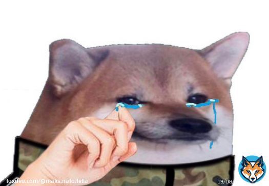 BREAKING   Ukraine received NASAMS air defense systems, - Volodymyr Zelensky  YEEEEEEESSSS  #Ukraine️ #Україна  #NAFO #NAFOfellas