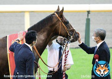 こちらは勝って労いのなでなで よく見ると、つままれてもいるw  #サリオス #毎日王冠