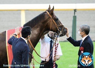 こちらは勝って労いのなでなで よく見ると、つままれてもいるw  #サリオス #毎日王冠