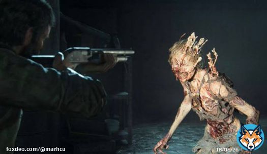 Dato del Fungisemana:   Si est&aacute;n obsesionados con The Last of Us como yo, les voy a contar de Ophiocordyceps, el hongo en el que se inspiraron los creadores de la serie ya que puede apoderarse del cuerpo de su anfitri&oacute;n y volverlo zombi