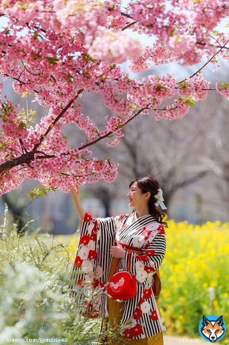 明日のルヴァンカップ楽しみだ 桜満開がみたい！