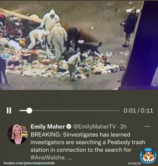 #BryanKohberger #brianwalshe #AnaWalshe #anawalshemissing   another American  tragedy! In the making! smh! Also another psychotic #brian smh  poor #AnaWalshe