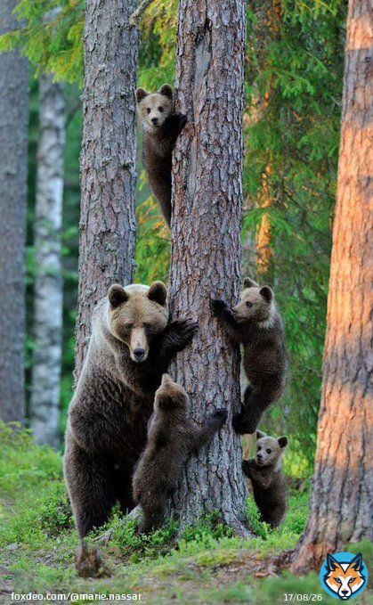 Good morning Twitter-Friends&hellip; Have a happy Monday and a beautiful new week  #MondayMorning  #CoffeeTime  #HappyNewWeek  #SummerVibes  #AnimalLovers  #PeaceAndLove