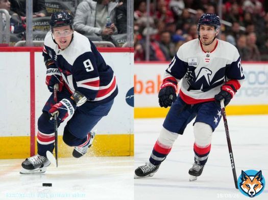 Don Sweeney Just Dropped His Nuts On The Table Acquiring Dmitry Orlov And Garnet Hathaway From The Washington Capitals