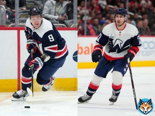 Don Sweeney Just Dropped His Nuts On The Table Acquiring Dmitry Orlov And Garnet Hathaway From The Washington Capitals