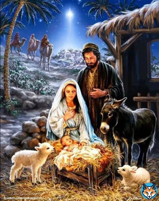 Saludos y bendiciones mi gente linda bella  #FelizNavidad   Hoy #24Dic Apoyamos la etiqueta del d&iacute;a    \u2713#NavidadEnFamilia   Bendiciones y mucho &eacute;xito hoy #24Dic  @1412Yolis @luis16684716 @MkPatriota @Rosijrojas1 @RonaldJRojasM1 @MaMarcialM2