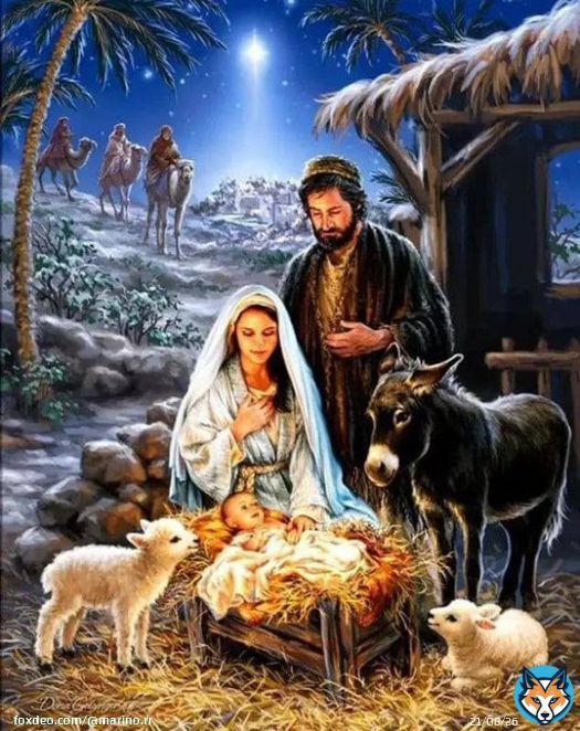 Saludos y bendiciones mi gente linda bella  #FelizNavidad   Hoy #24Dic Apoyamos la etiqueta del d&iacute;a    \u2713#NavidadEnFamilia   Bendiciones y mucho &eacute;xito hoy #24Dic  @1412Yolis @luis16684716 @MkPatriota @Rosijrojas1 @RonaldJRojasM1 @MaMarcialM2
