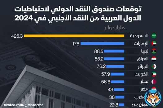 كم ستبلغ احتياطيات الدول العربية من النقد الأجنبي في 2024؟  #عملات #الدولار_الأميركي #إنفوغراف<bR>من المتوقع أن تتصدر السعودية قائمة الدول العربية من حيث حجم احتياطيها من النقد الأجنبي في عام 2024، ليصل إلى 425 مليار دولار، بحسب صندوق النقد الدولي.توقعات الصندوق أظهرت مجيء الإمارات في المرتبة الثانية باحتياطي أجنبي قد يبلغ 176 مليار دولار، فيما توقع الصندوق أن يبلغ احتياطي مصر من النقد الأجنبي 43 مليار دولار في العام المقبل.