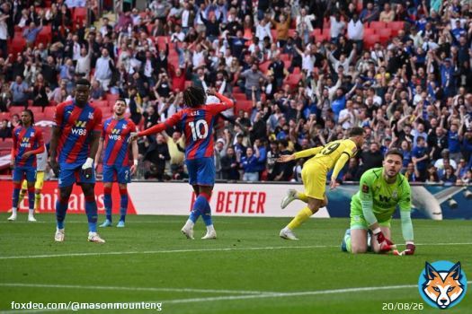 Celebrating with passion at Wembley  ! Love this  !! #FaCup