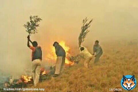 Dima Wydad @WACofficiel... Wydad Casablanca putting out the fire at Loftus Versfeld today. Tima Wydad... Dima Wydad... Put out the fire Wydad